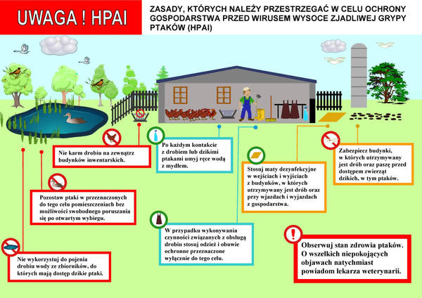 zdjęcie do
													 artykułu Przypadki grypy ptaków (HPAI) na terenie Gminy Boguchwała - informacje