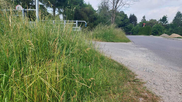 zdjęcie do
													 artykułu Uwaga: Koszenie traw przy drogach powiatowych