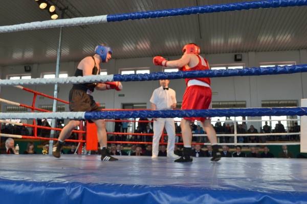 zdjęcie do
													 artykułu Mistrzostwa Województwa Podkarpackiego w boksie