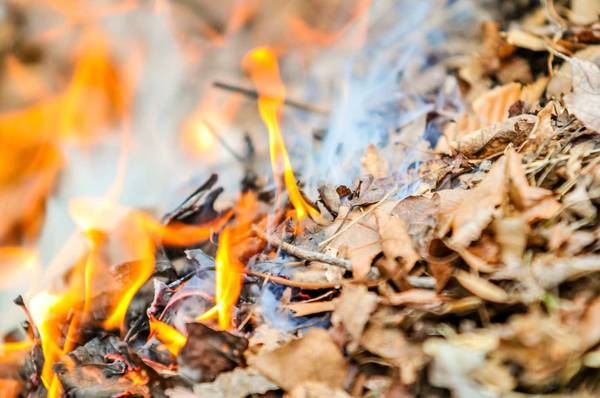 zdjęcie do
													 artykułu Zakaz spalania liści na prywatnych posesjach